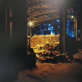 mbp_alberto locatelli_ex pascoli2_2008